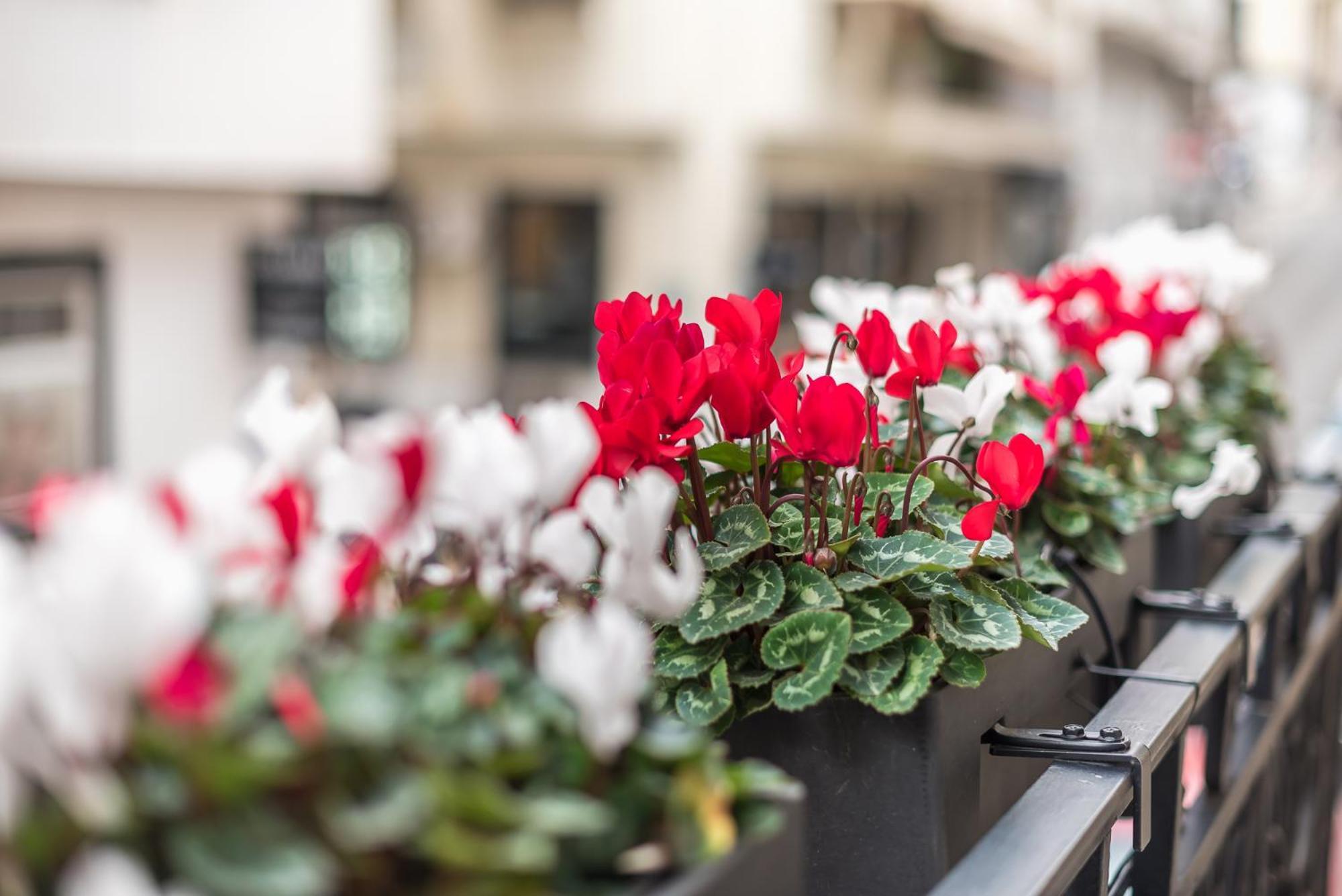 The Rare Luxury Gem Near Syntagma, Kolonaki Square Apartment Athens Exterior photo